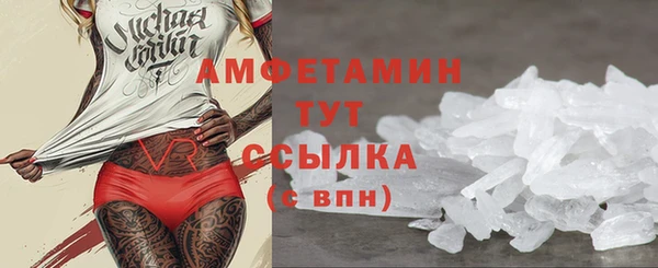 крисы Инта