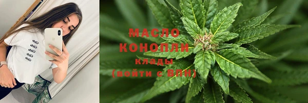 крисы Инта