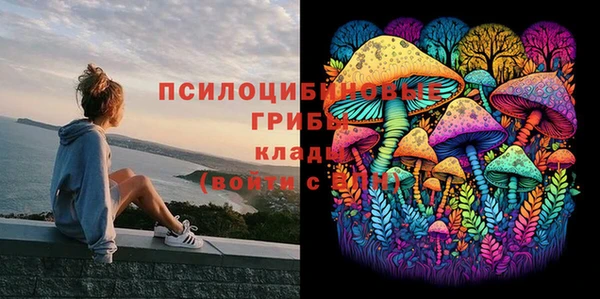 эйфоретик Инсар