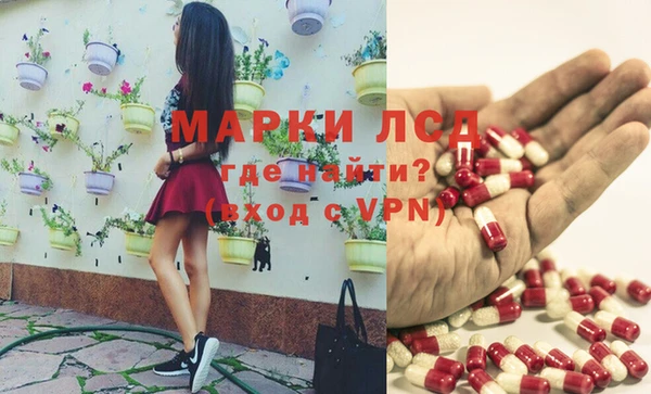 крисы Инта