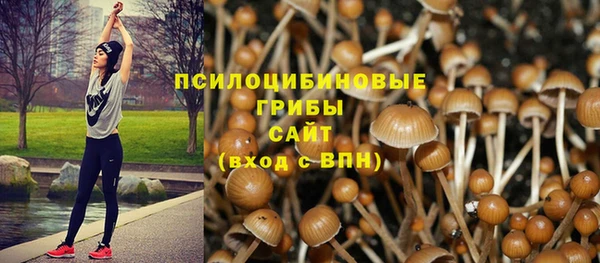 марки lsd Иннополис