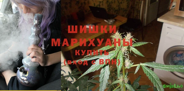 эйфоретик Инсар