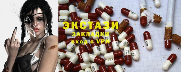 крисы Инта