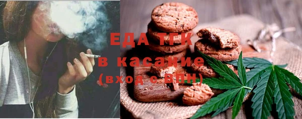 крисы Инта